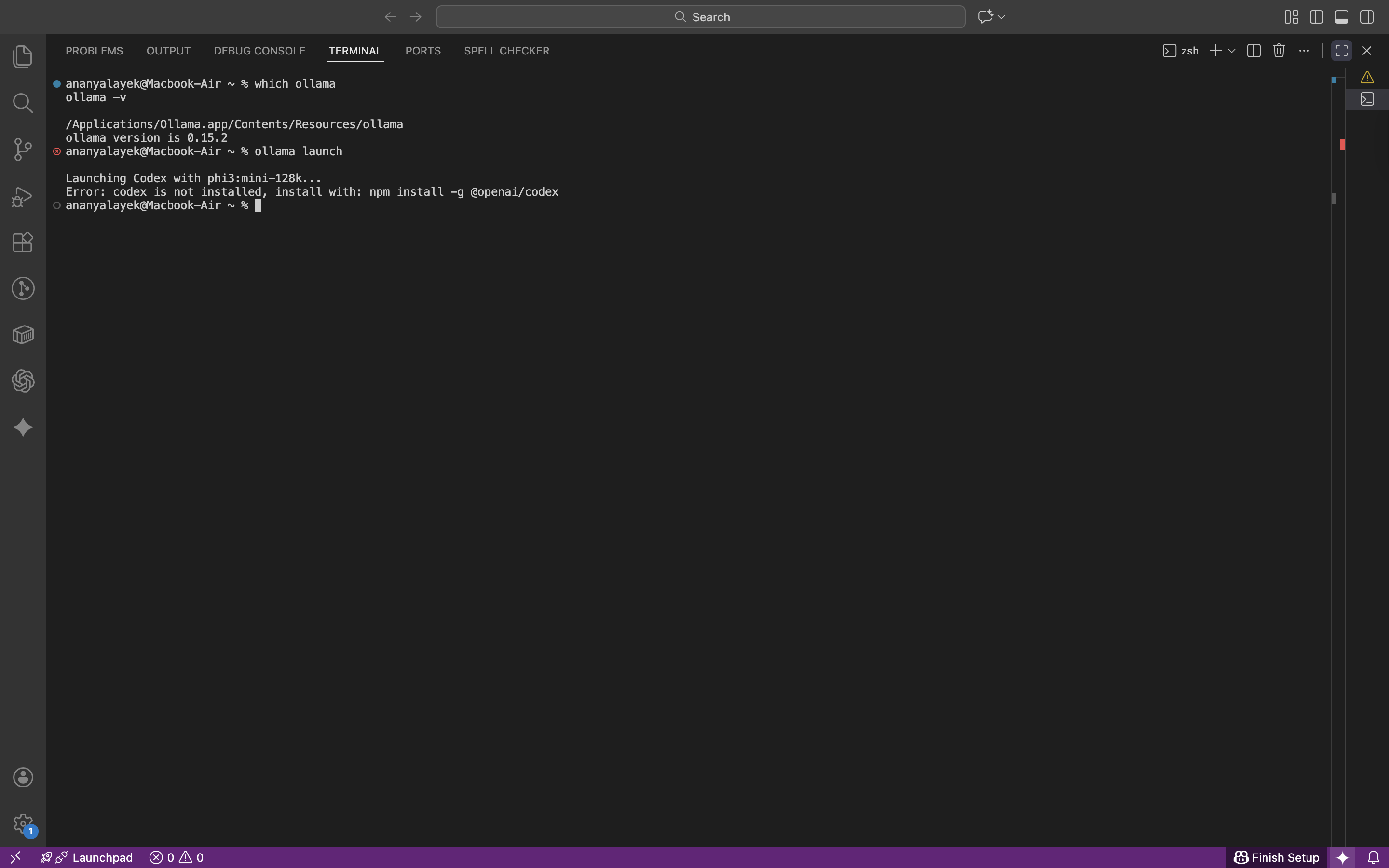 Terminal message showing Codex is not installed and suggesting npm install -g @openai/codex.